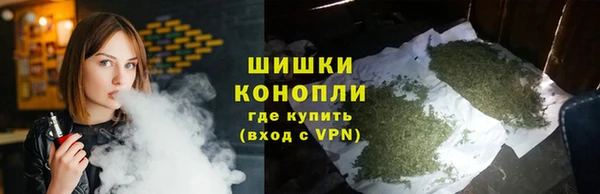 mdpv Ельня