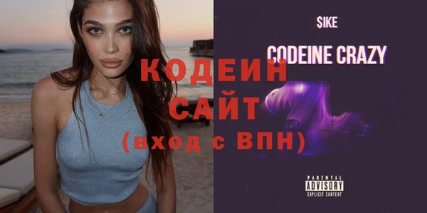 стаф Елизово