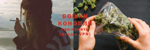 mdpv Ельня