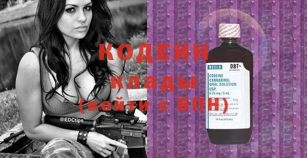 стаф Елизово