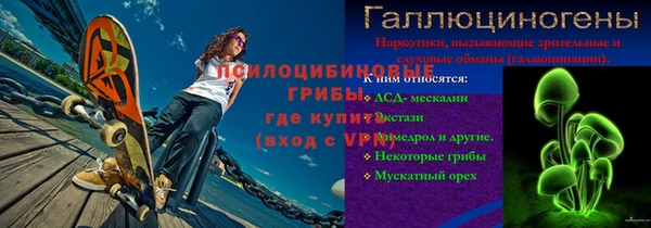 стаф Елизово