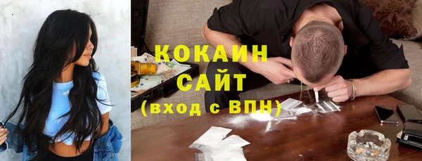 mdpv Ельня