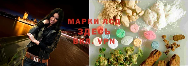 стаф Елизово