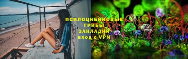 mdpv Ельня