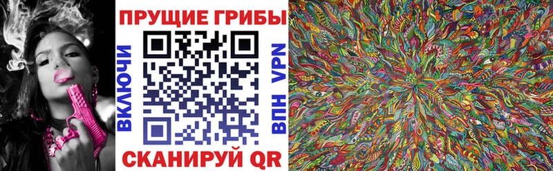 Купить  Ангарск  Галлюциногенные грибы Psilocybe 